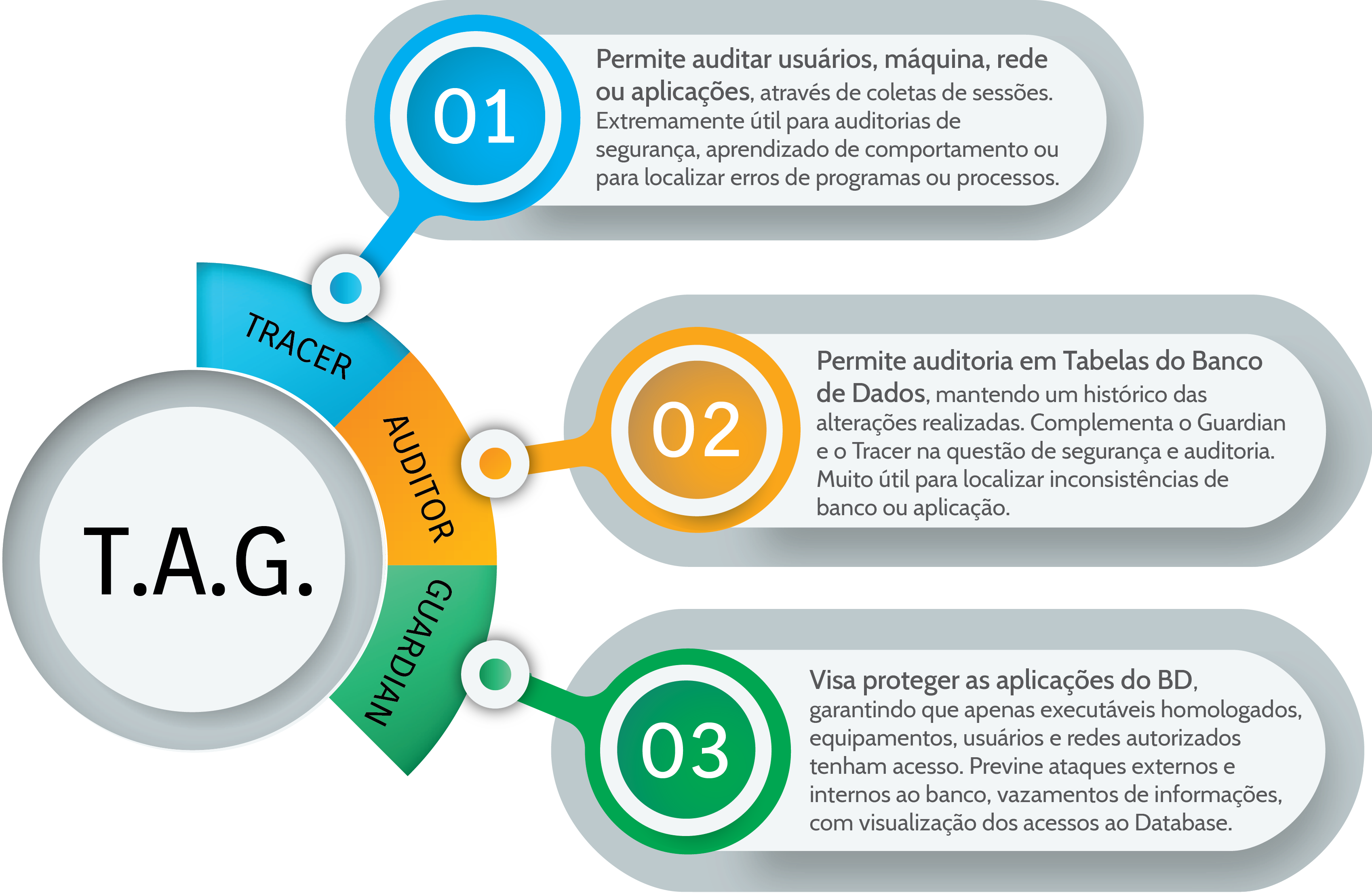 Infográfico TAG
